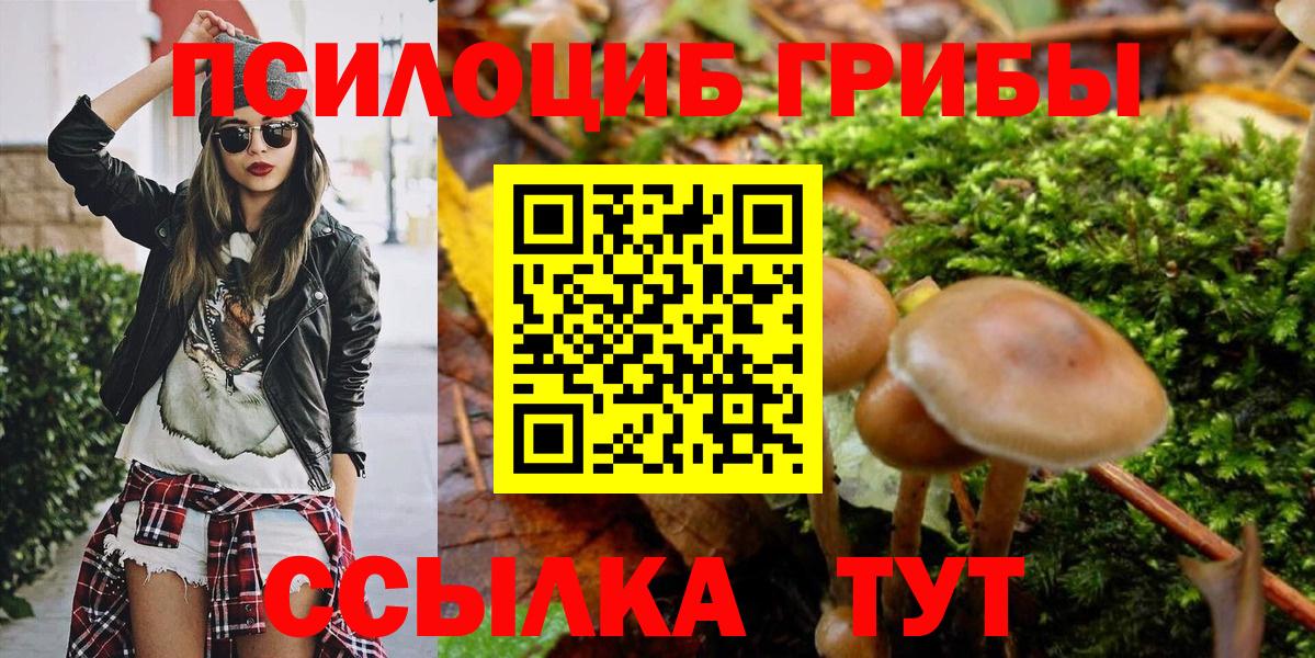 купить наркотики сайты  Псилоцибиновые грибы GOLDEN TEACHER  Вход с VPN  Галлюциногенные грибы Cubensis  Шарыпово 